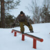 Сноуборд штаны Snow Camper pants Nutria
